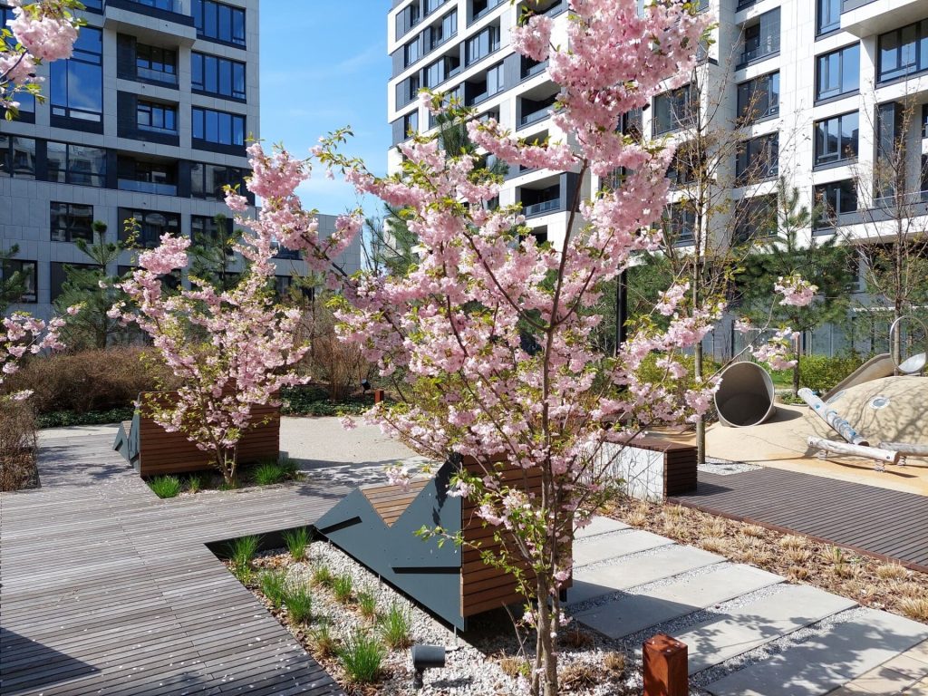 ЖК Unit Home, back yard